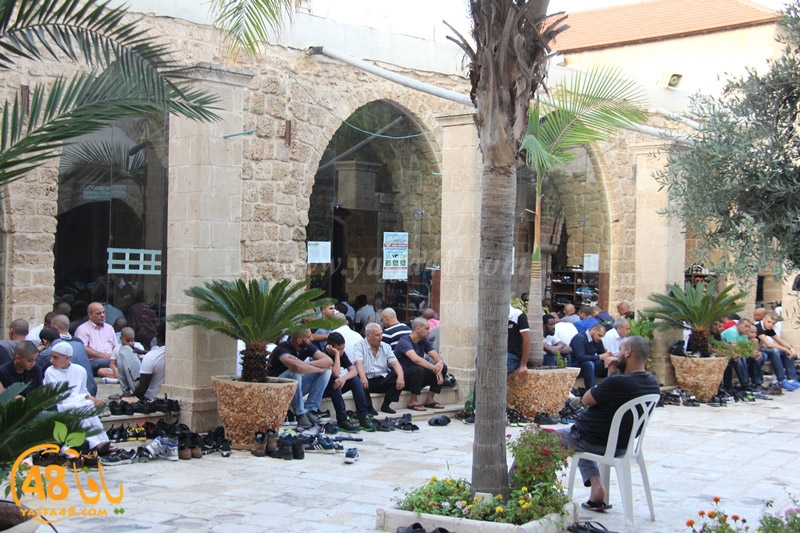 3ed ad7a mahmoudaia (20).JPG